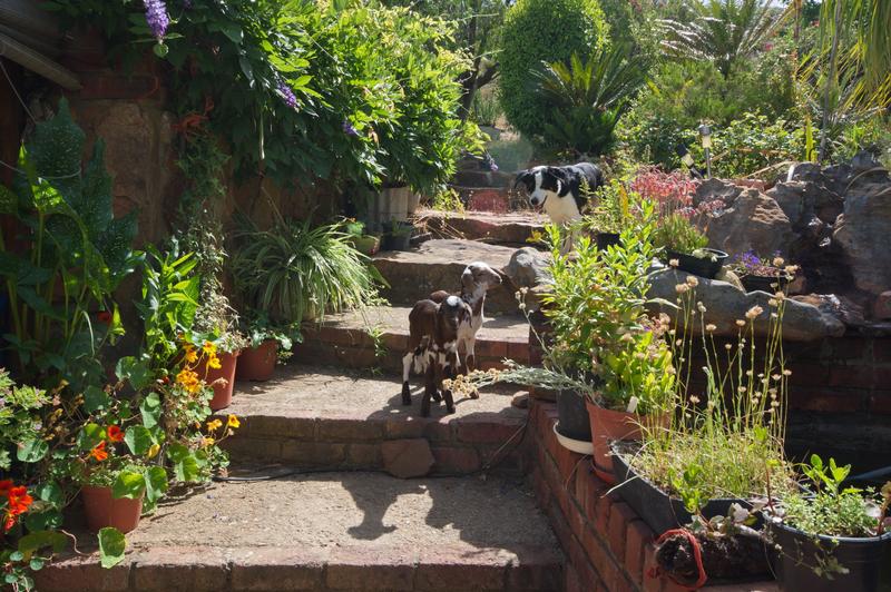 6 Bedroom Property for Sale in Piketberg Rural Western Cape